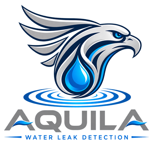 Aquila Water Leak Detection